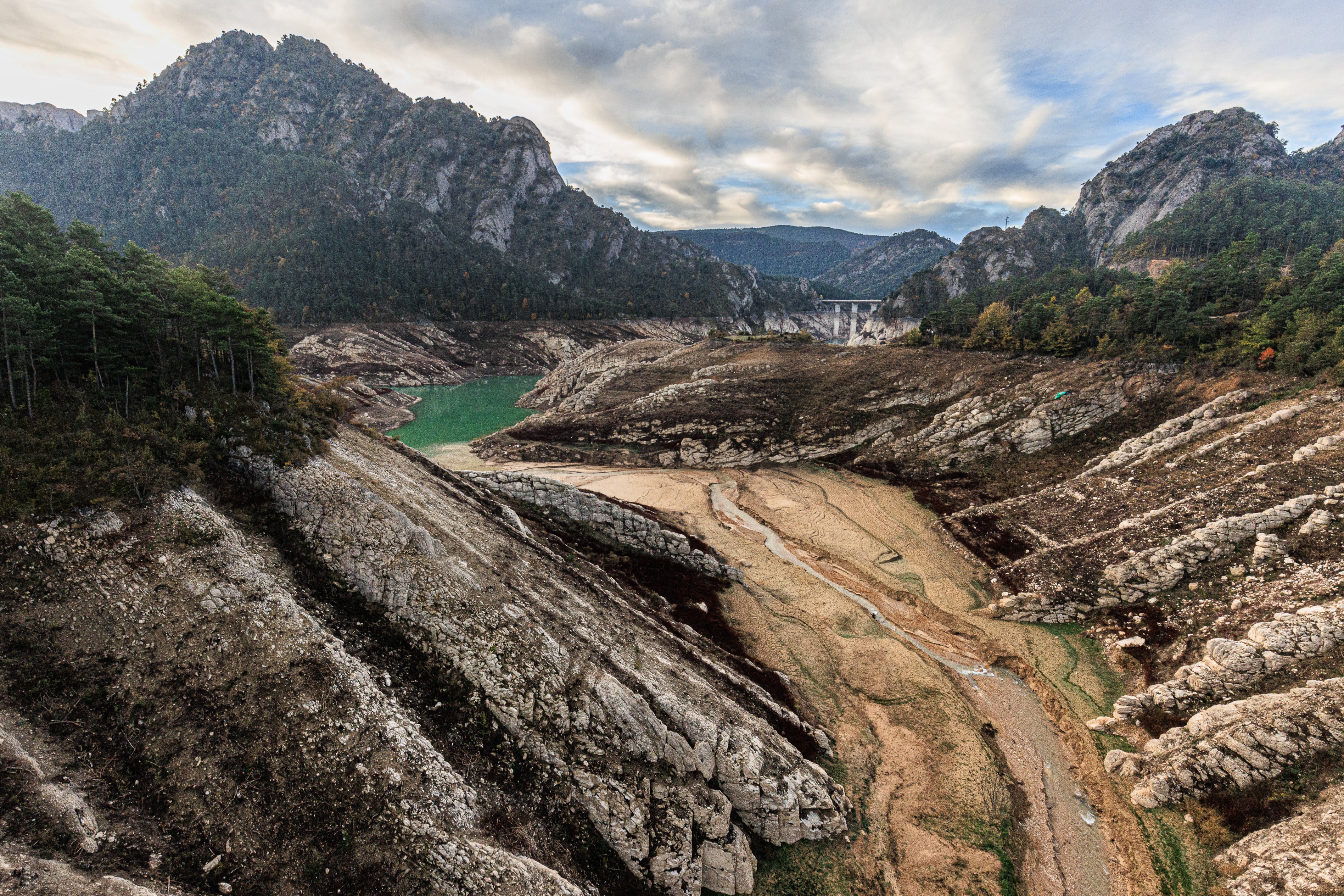 Sequera a Catalunya