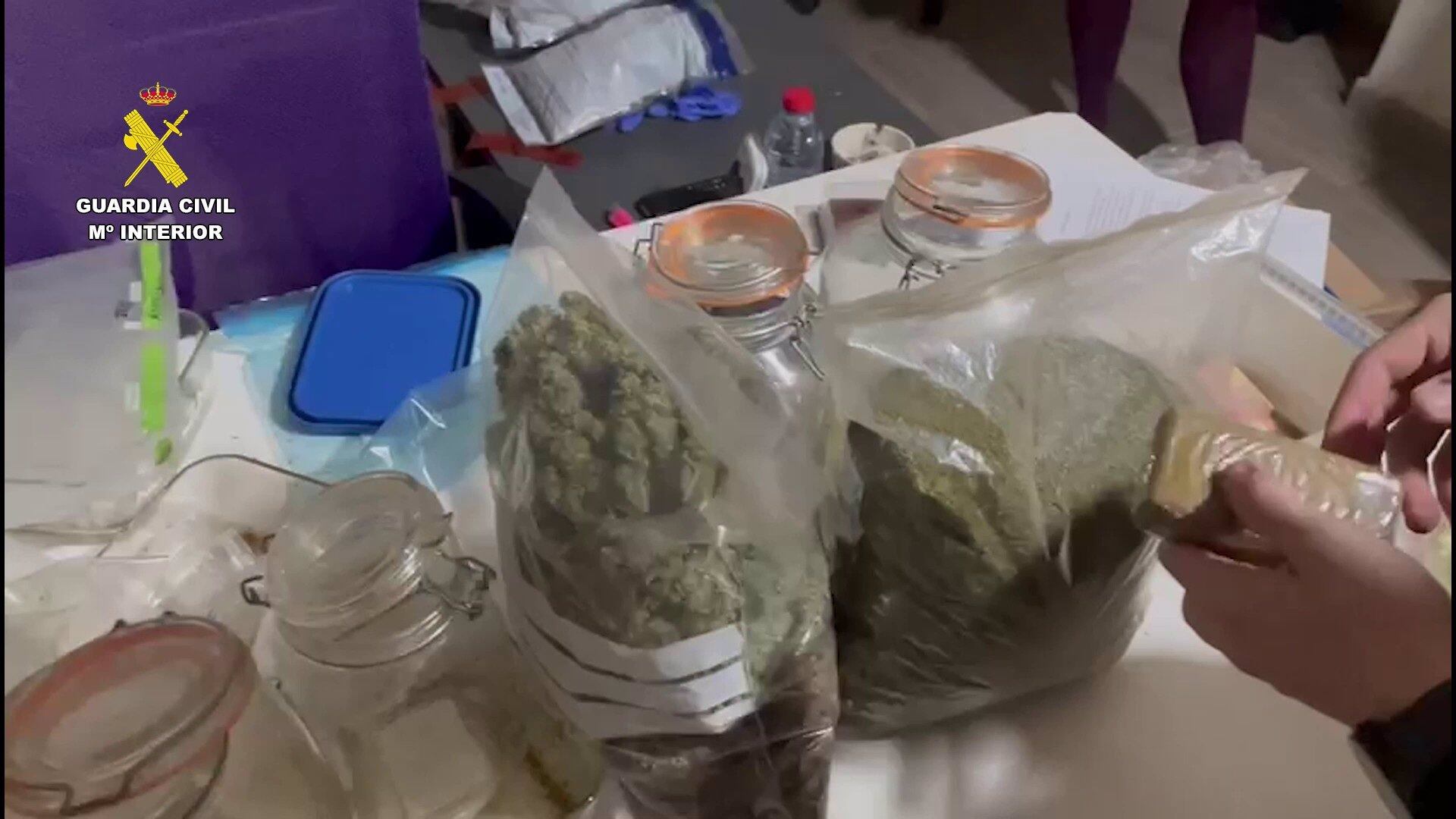 Cannabis intervenido la Vega Baja