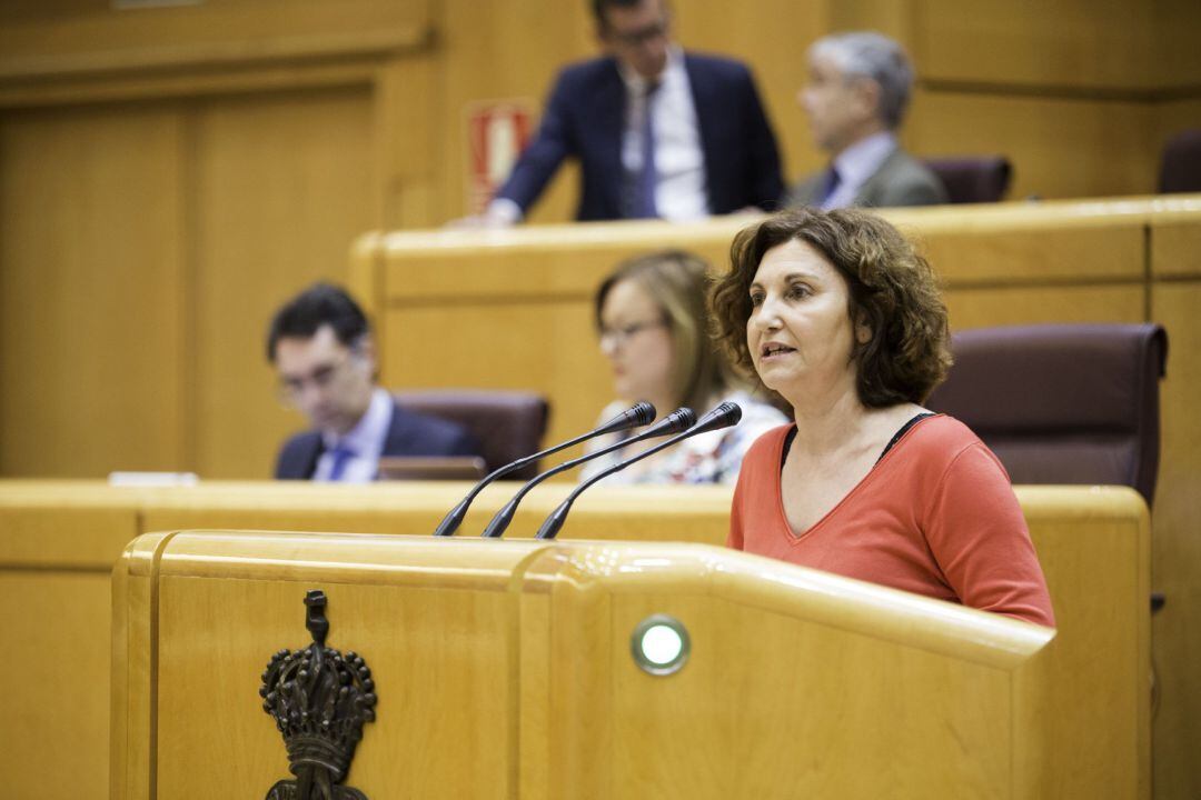Pilar Garrido sustituirá a Ramón Espinar como portavoz de Unidos Podemos en el Senado