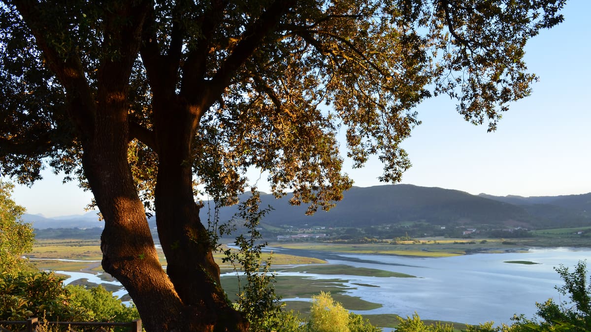 Urdaibai encara su futuro entre el declive industrial y 303 millones en inversiones: las claves del Plan Estratégico Comarcal