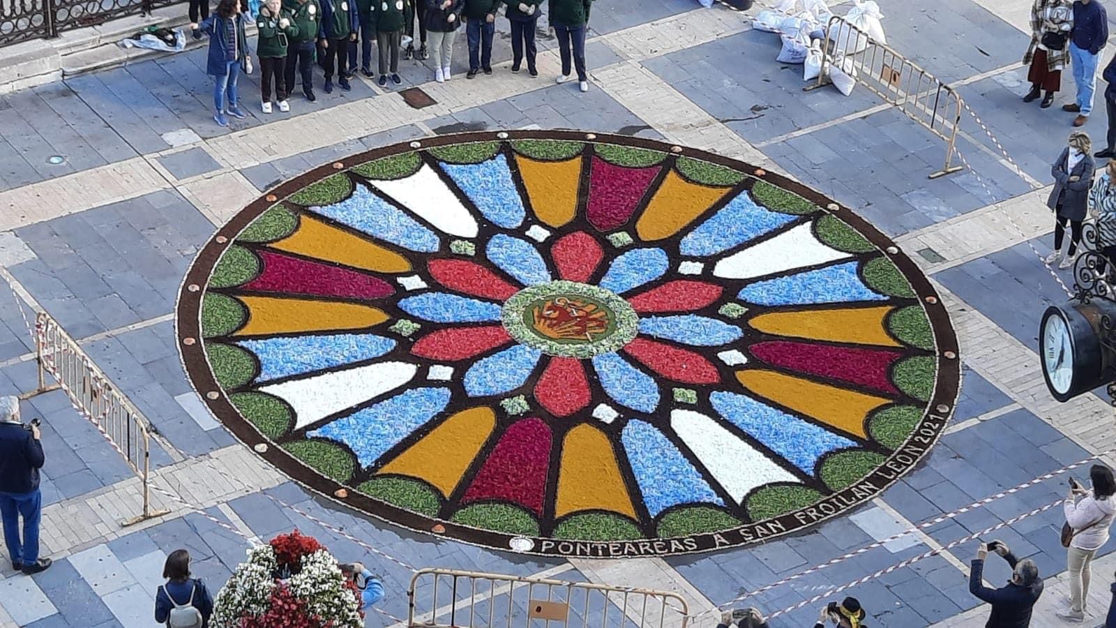 Alfombra floral para la Ofrenda 2025 en la Plaza del Pilar