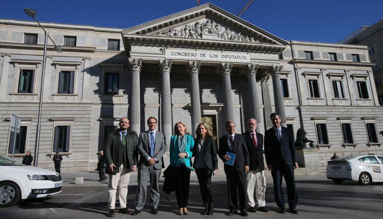 Parlamentarios del PP en apoyo a la manifestación contra el aborto que se celebra este sábado, se hacen una foto ante el Congreso.