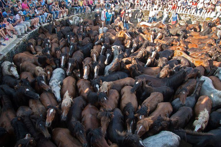 Los caballos y los &quot;aloitadores&quot; en el &quot;curro&quot; durante a rapa