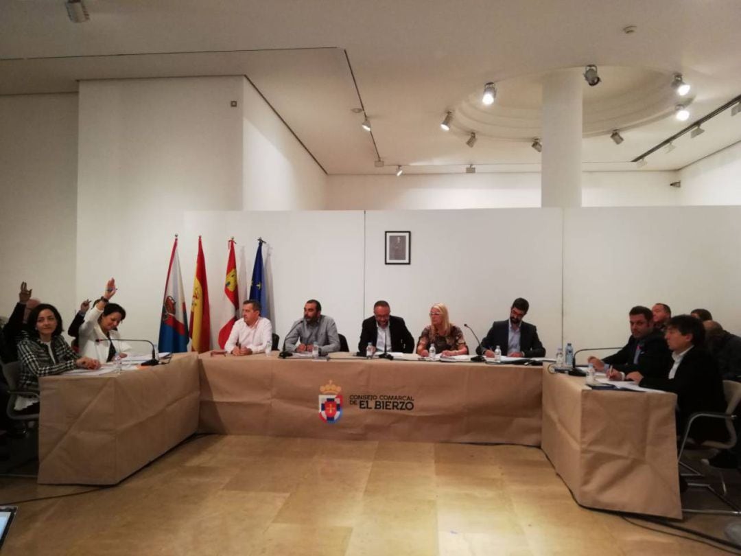 Pleno del Consejo Comarcal