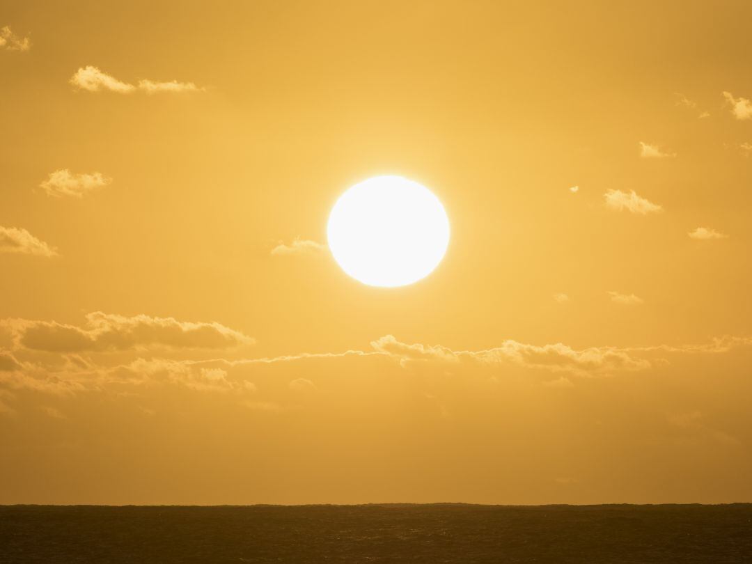 El mes de enero nos ha traído temperaturas exepcionalmente altas