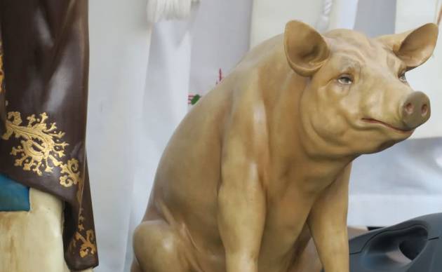 Imagen del cerdo que acompaña a San Antón