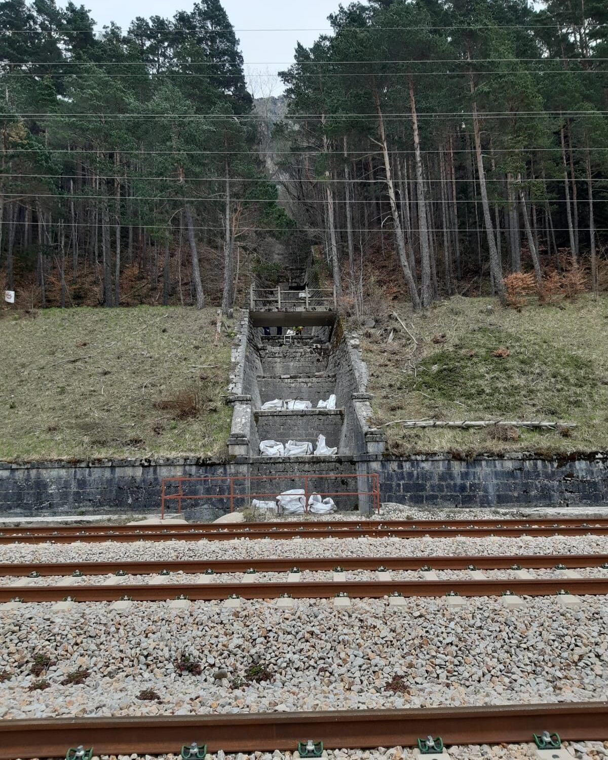 Los trabajos previos de limpieza acaban de comenzar