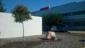 Un ram de flors a la pedra amb la placa, al costat de l'alzina que recorda els bombers al Parc de Lleida