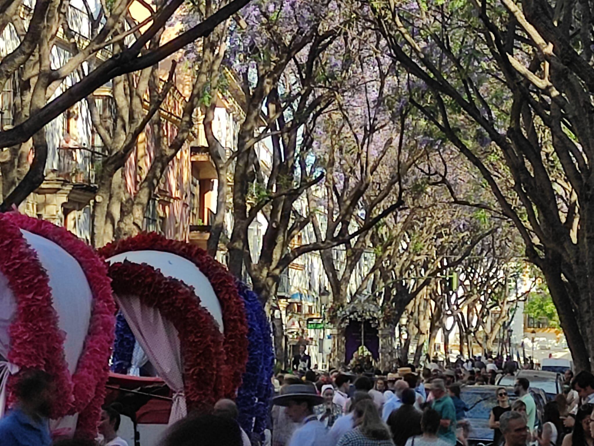 El simpecado de la Hermandad del Rocío de Jerez por la calle Porvera