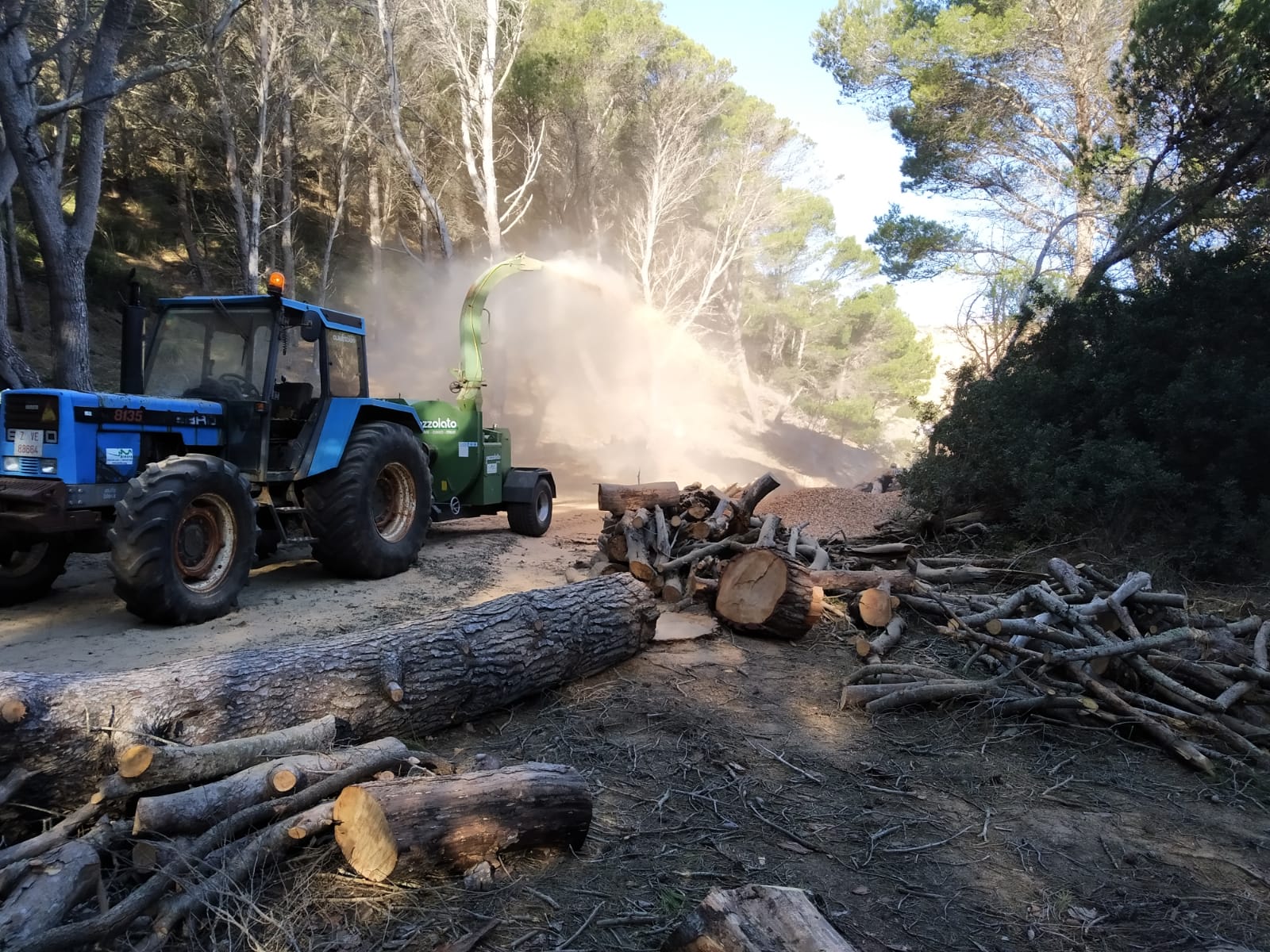 La llenya tallada s'ha triturat per enriquir el sol del parc natural.