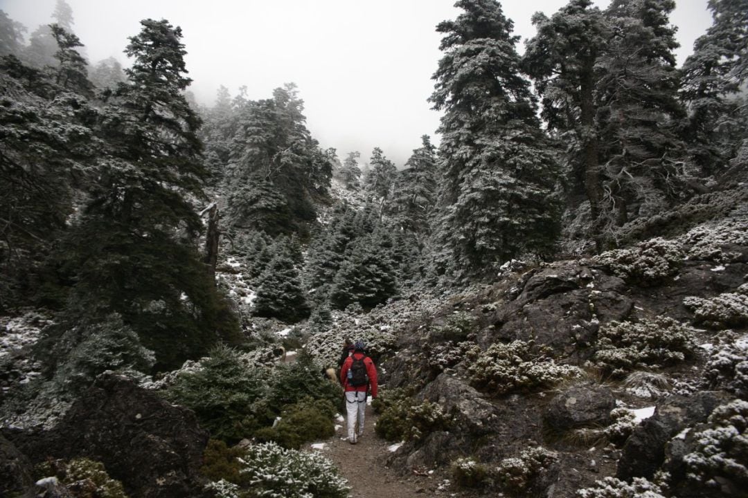 Dos senderistas discurren por uno de los parajes del Parque Nacional Sierra de las Nieves