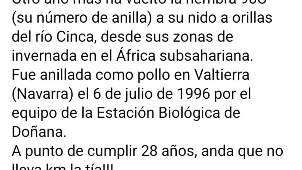 Nacho Arizón - aves