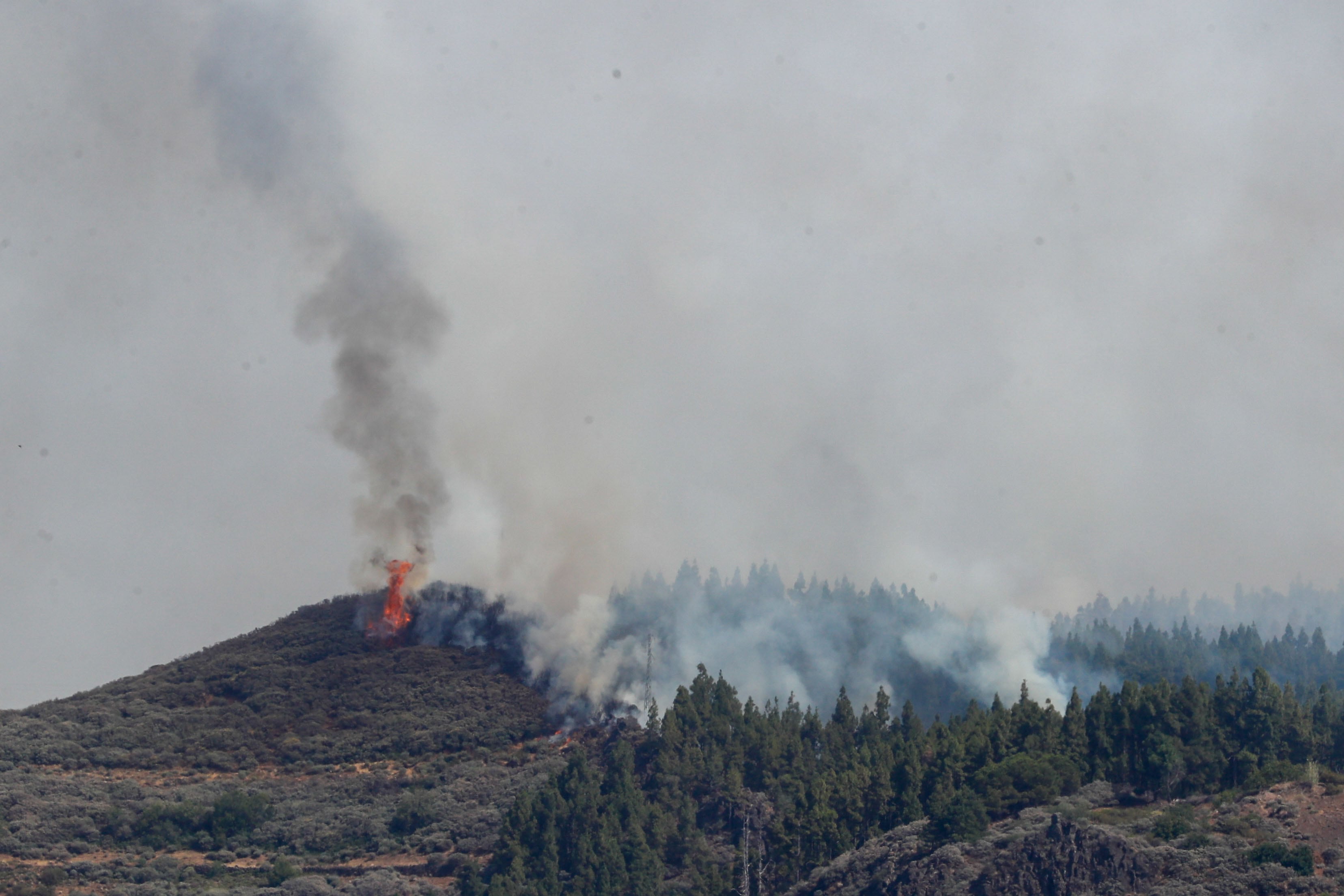 El incendio que se ha declarado este martes en la cumbre de Gran Canaria en Los Llanos de la Pez, con dirección hacia el Pico de Las Nieves.