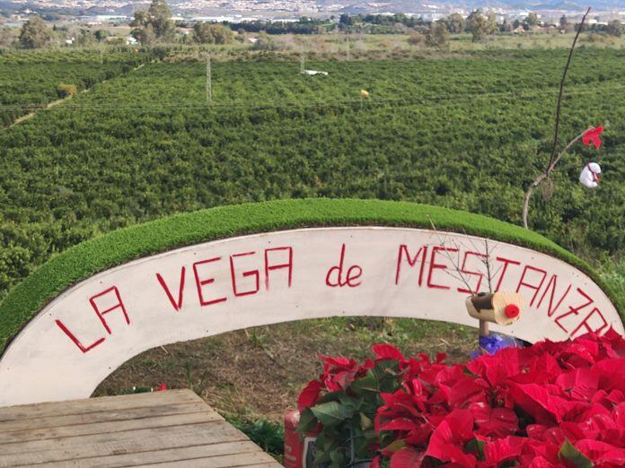 El proyecto de la EDAR de Málaga Norte contempla la expropiación de 200.000 metros cuadrados y la desaparición de esta finca agrícola de Alhaurín de la Torre, &quot;muy fértil, gracias a las inundaciones cíclicas del rio Guadalhorce, que llega a producir dos millones de kilos de cítricos&quot; según los propietarios