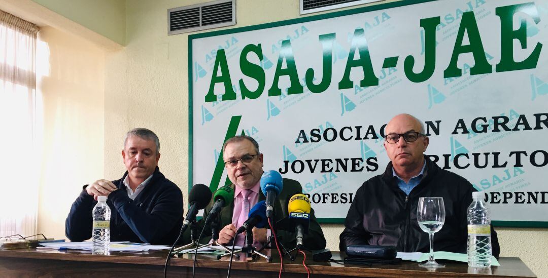 Miembros de Asaja en la provincia de Jaén han realizado balance del año agrario y ganadero