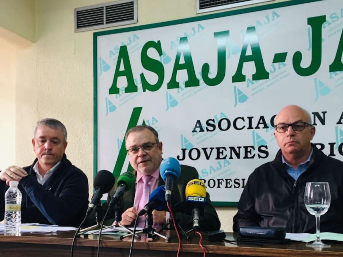 Asaja lamenta la bajada en el precio del aceite