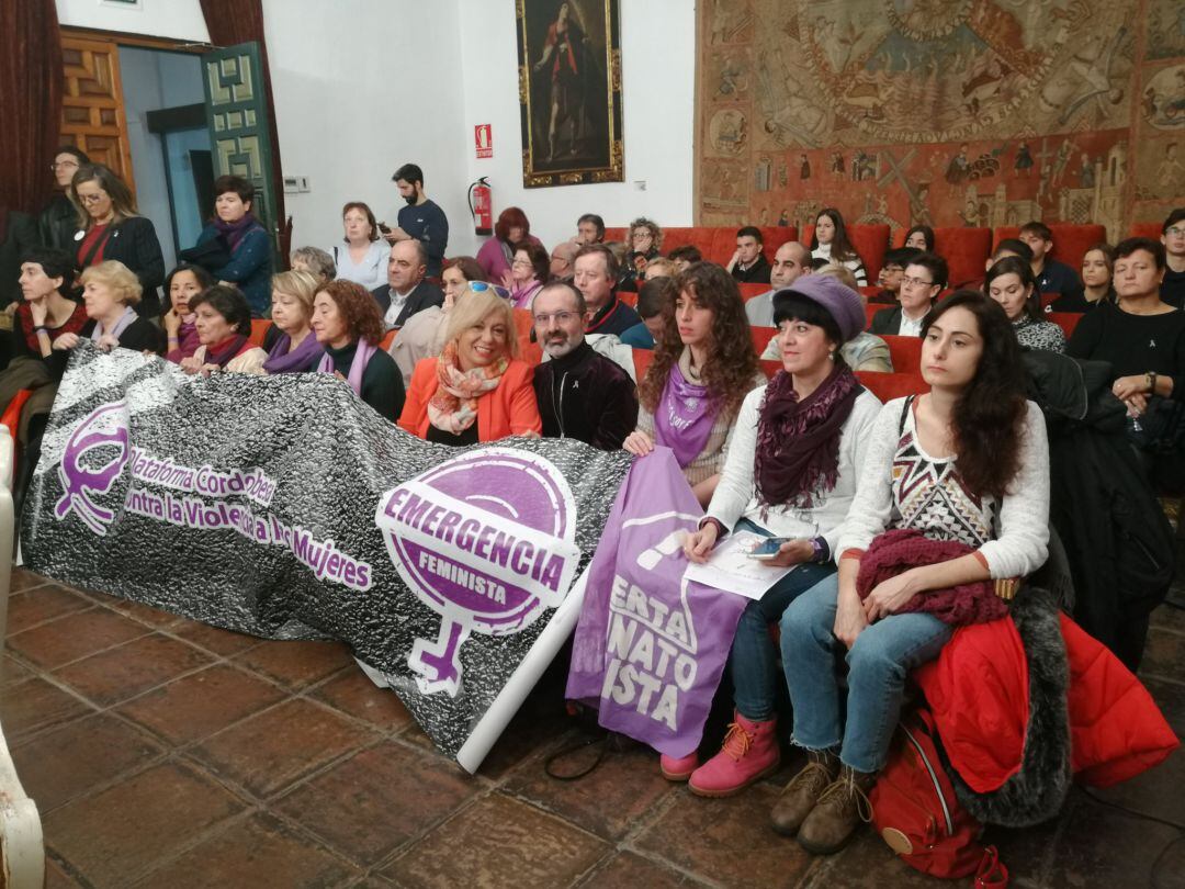 Miembros de la plataforma y el escritor y catedrático, Octavio Salazar, en el pleno extraordinario de la Diputación.