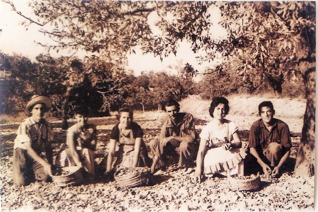 Año 1958. Juan y Maruja, pareja de la derecha, recogiendo almendras en La Magdalena. El padre de Maruja no permitía que se hicieran novios y ellos echaban los jornales juntos para  poder verse, aunque no estaba permitido por muchas familias que mozos y mozas trabajaran juntos.