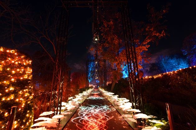 Otra forma de conocer el Botánico, un paseo nocturno que se convierte en un espectáculo de iluminación