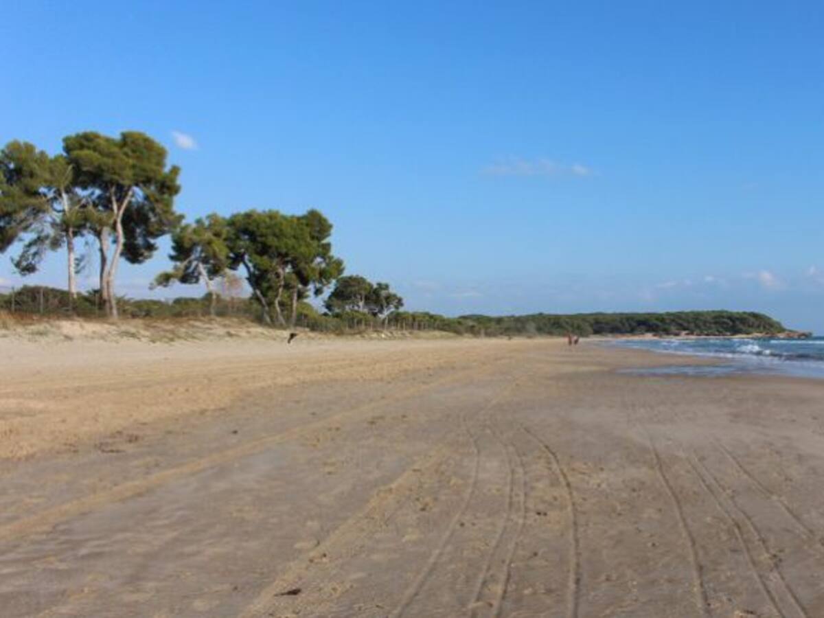 Una plataforma ciutadana proposa una alternativa al trànsit de la platja Llarga