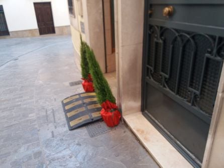 Dos de los Arbolitos de Navidad, en uno de los estableciinetos de la ciudad