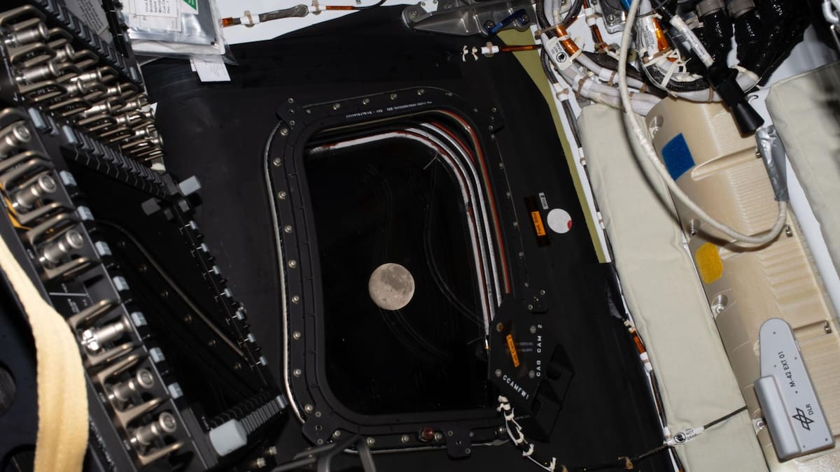 ¿Cómo funciona el famoso inodoro espacial de la misión Artemis II?