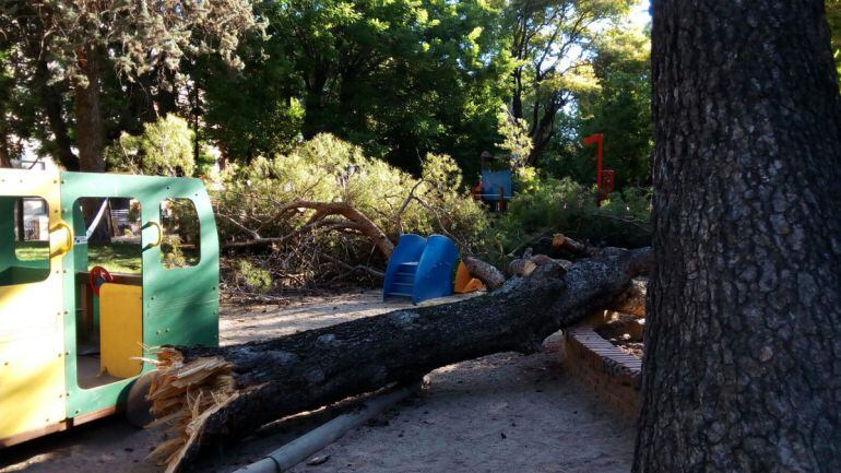 Árbol caído sobre la zona infantil de La Concordia
