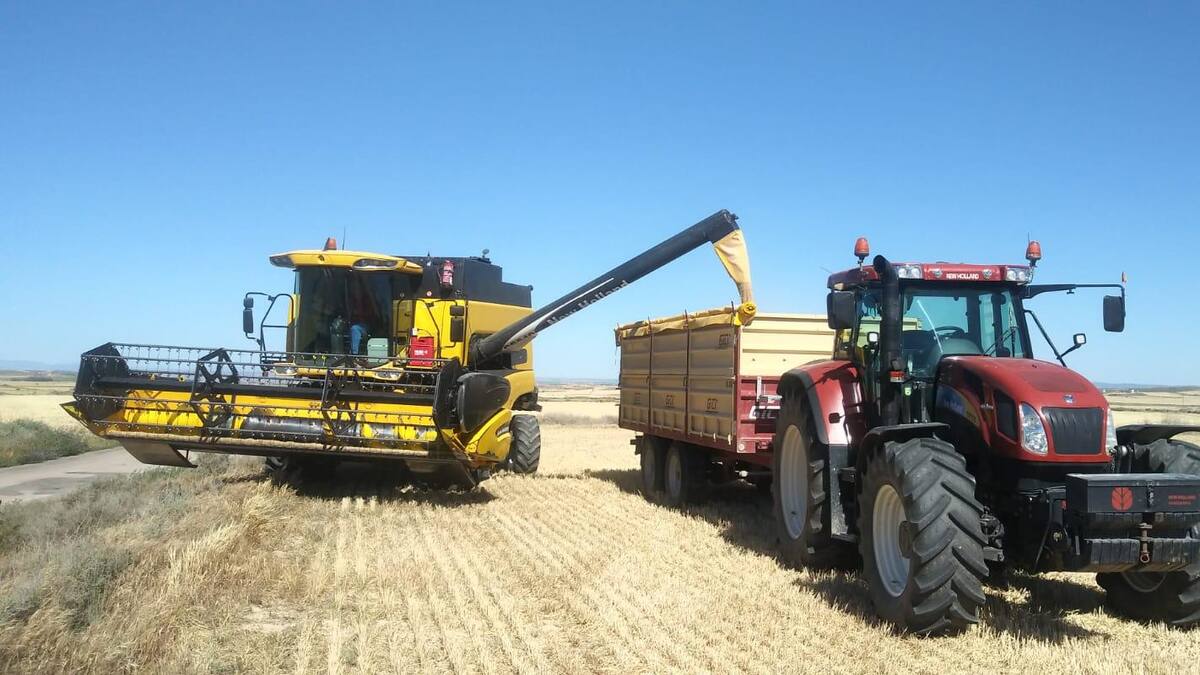 Palencia se enfrenta la peor cosecha de cereal en años