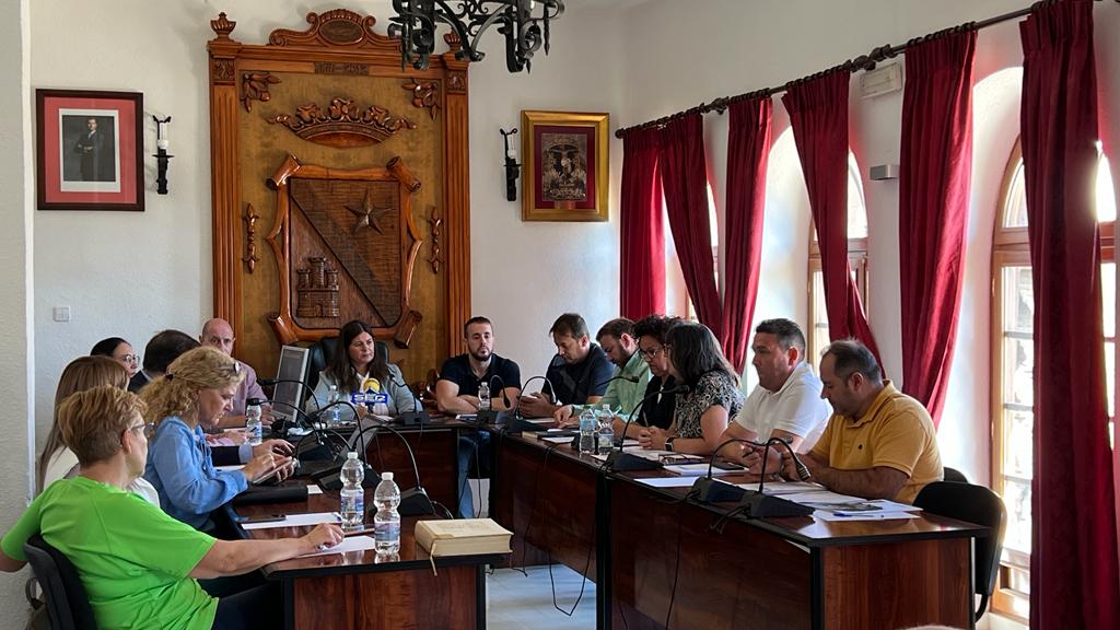 Momento de la celebración del Pleno Ordinario de Septiembre