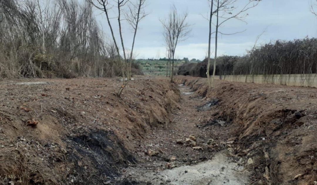 Estado de la ribera del arroyo que atraviesa el Peral de Valdepeñas (Ciudad Real) 