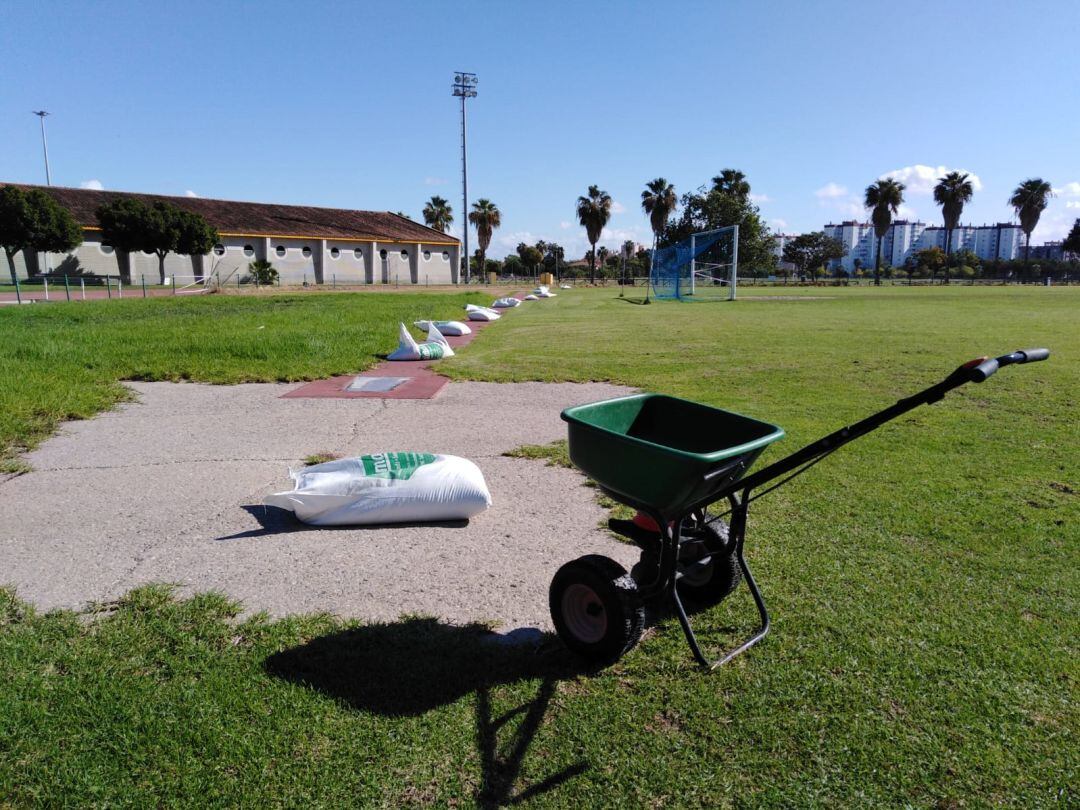 Comienzan los trabajos de resiembra en el Anexo