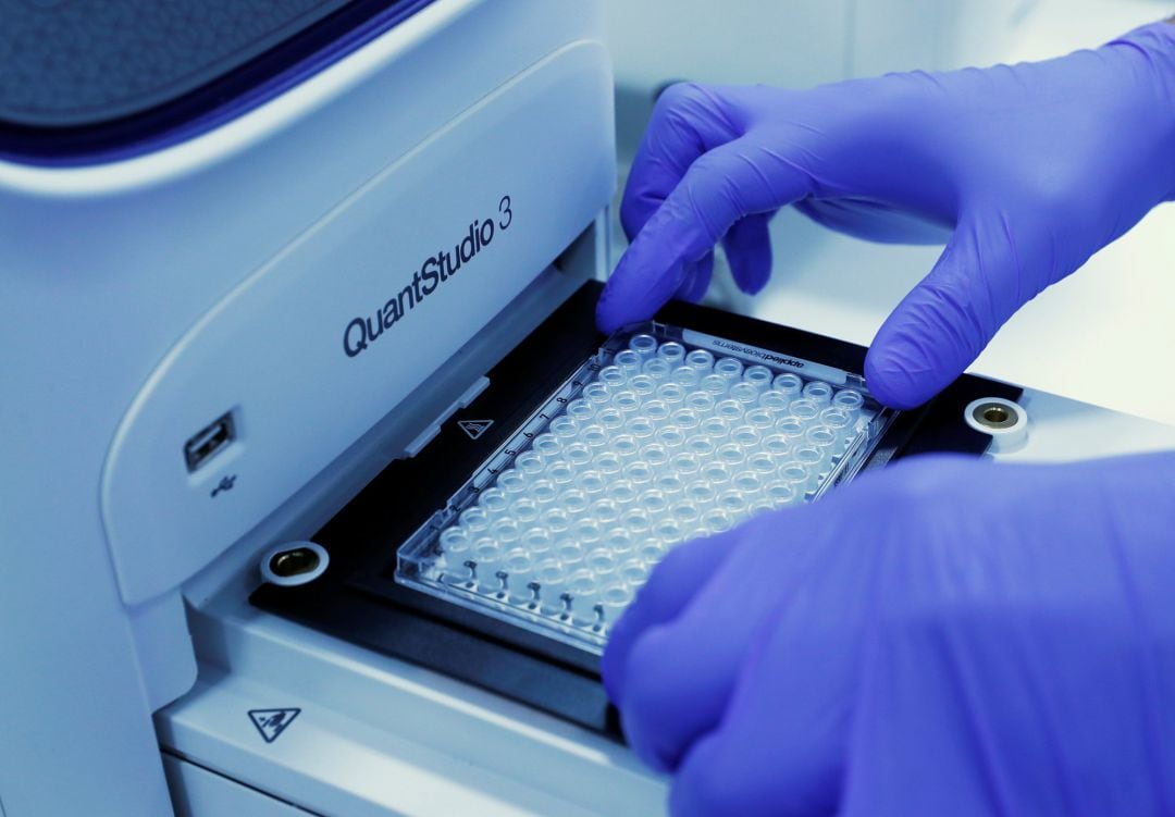 Muestras de PCR en un laboratorio.