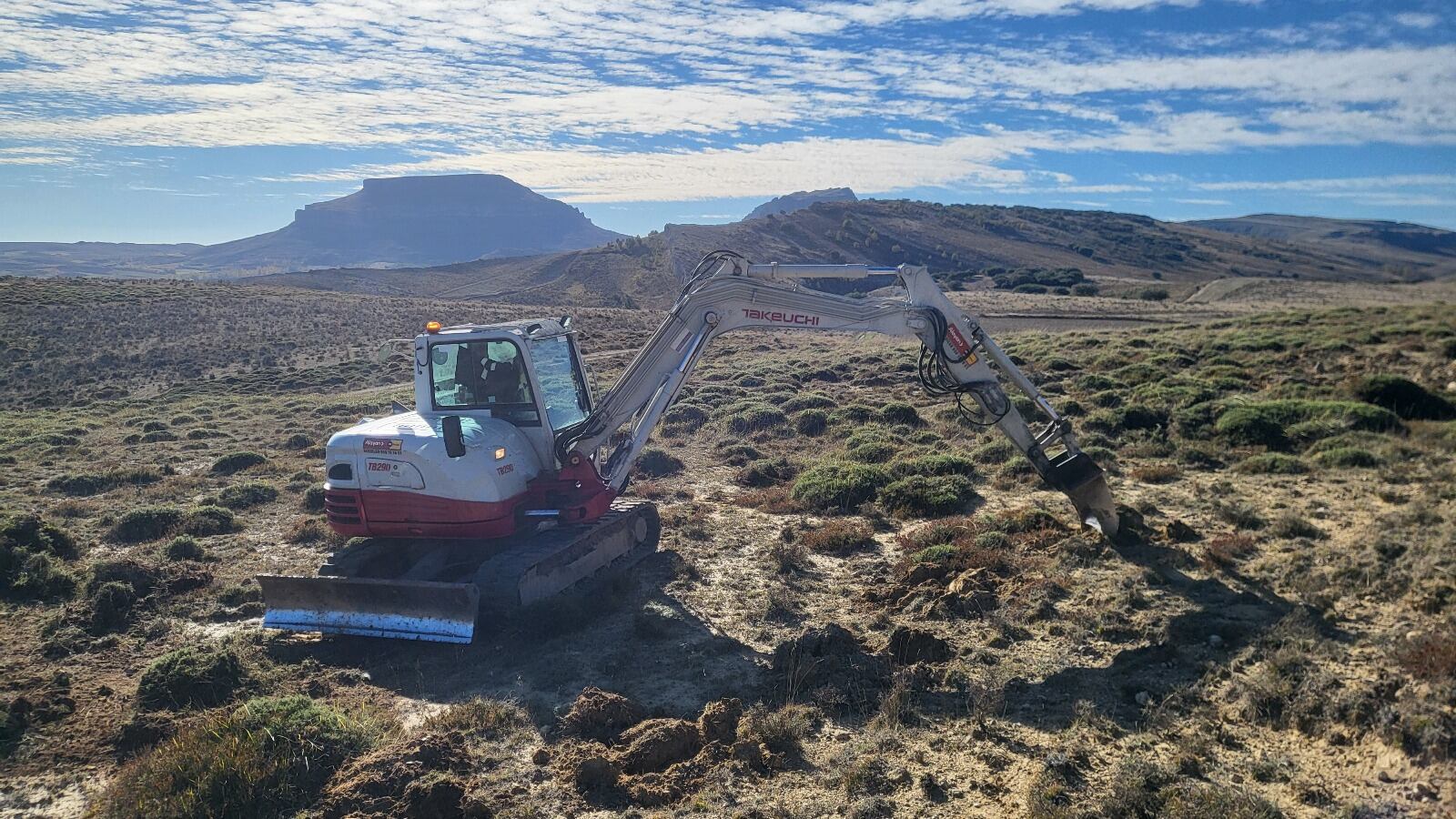 Las Loras recupera los setos naturales como complemento a los cerramientos artificiales para el manejo del ganado