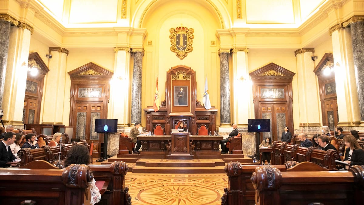 Luz verde a la creación de siete zonas de especial afluencia turística con los votos de PSOE y PP