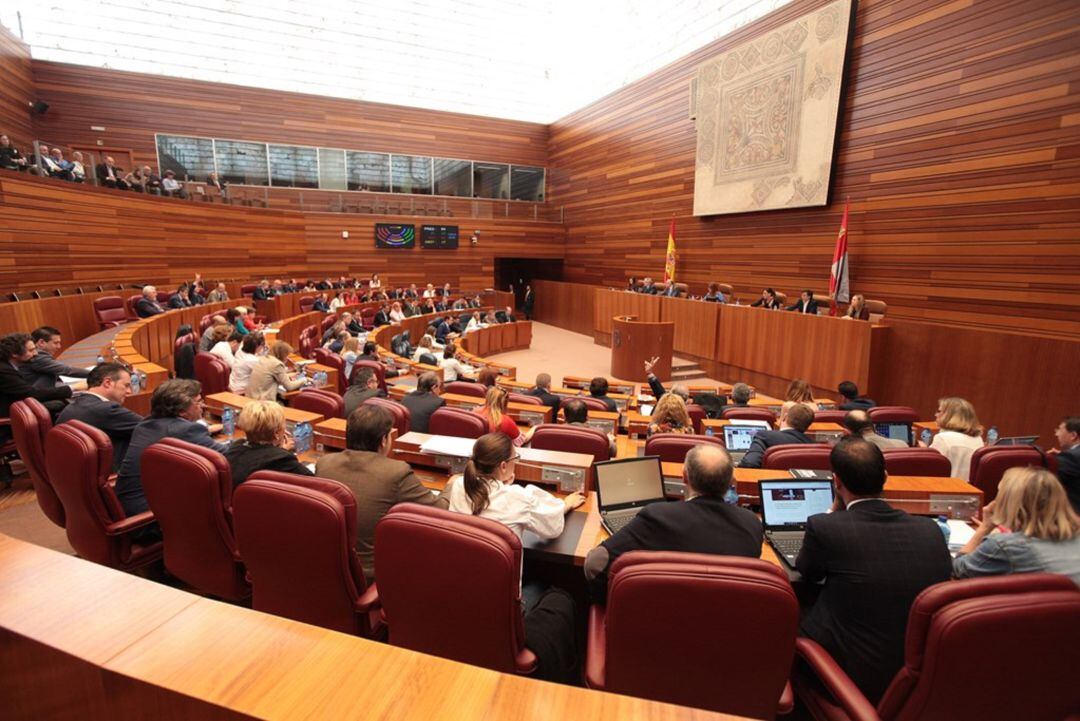 Pleno de las Cortes Regionales de Castilla y León de la presente legislatura.