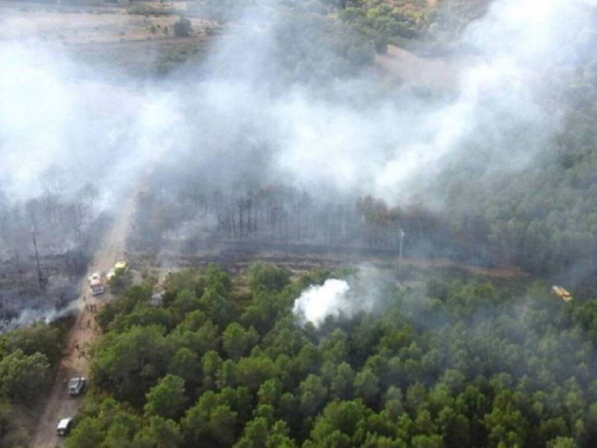 Un incendio en la zona de Aguilar de Campoo afecta a superficie agrícola y arbolada
