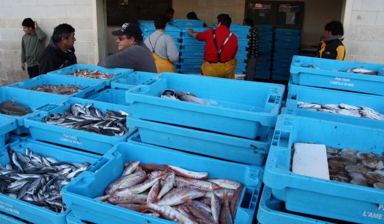 Pescadors amb caixes de peix. 