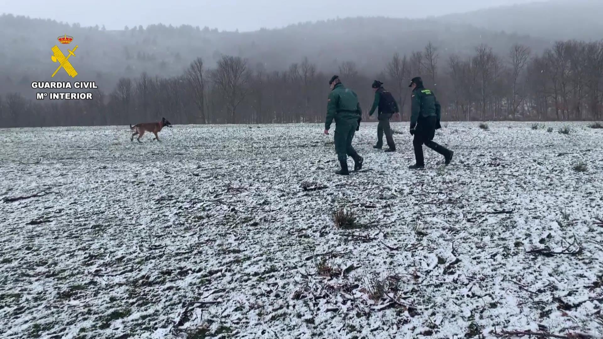 Maverick y Uro, dos perros de la Guardia Civil en la búsqueda de cebos envenenados en La Rioja