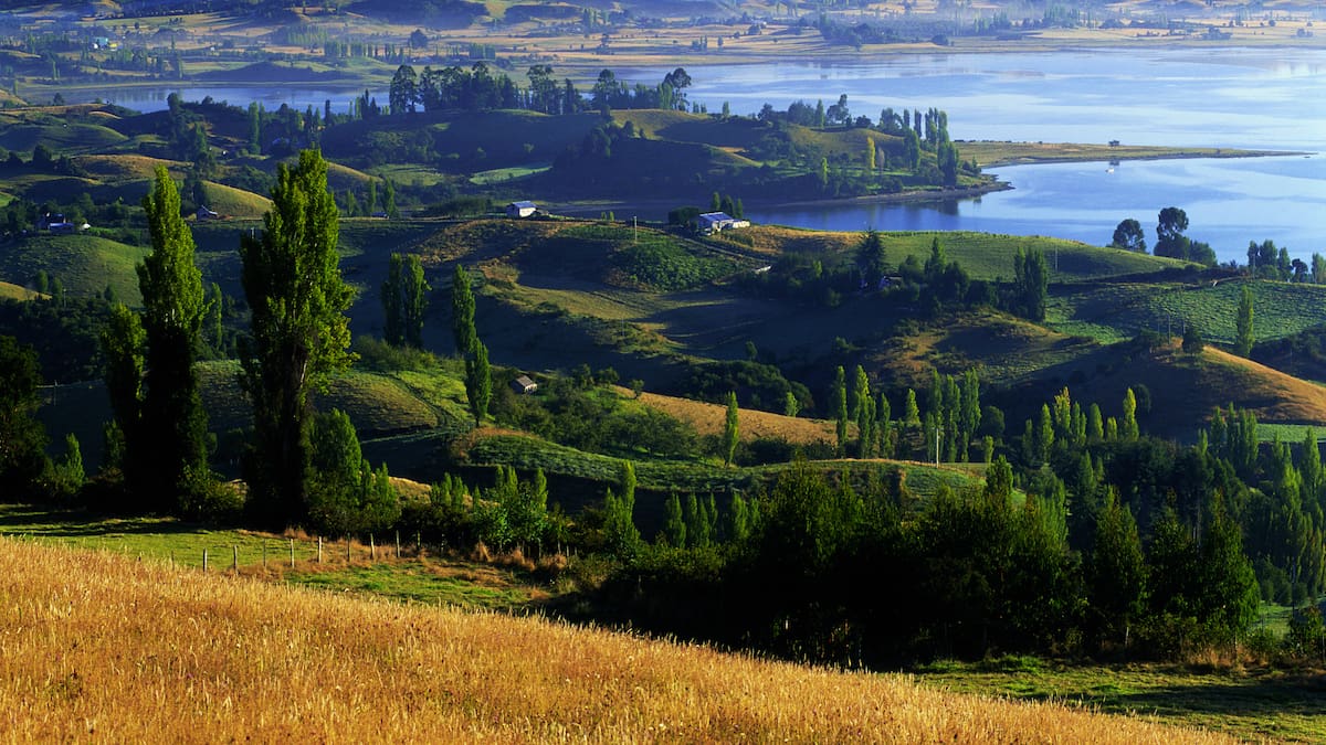 El archipiélago chileno al que se le conoce como la 'Nueva Galicia': qué hay detrás de las asombrosas islas de Chiloé