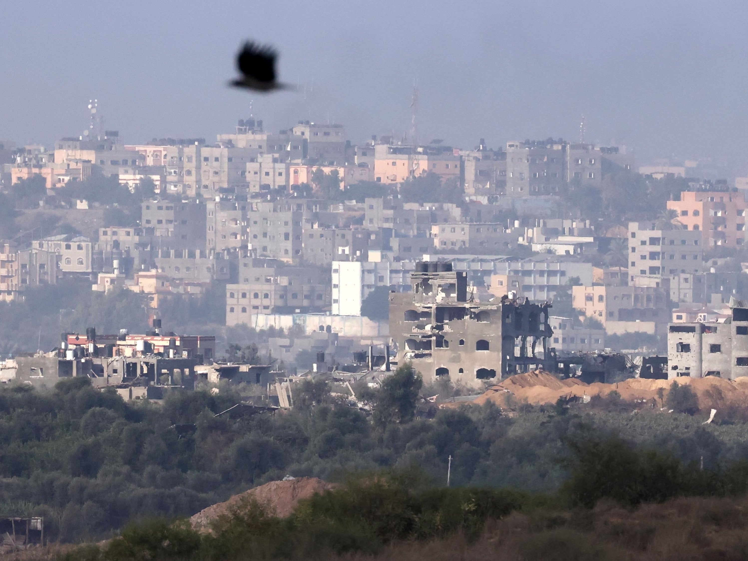 La franja de Gaza, este martes.