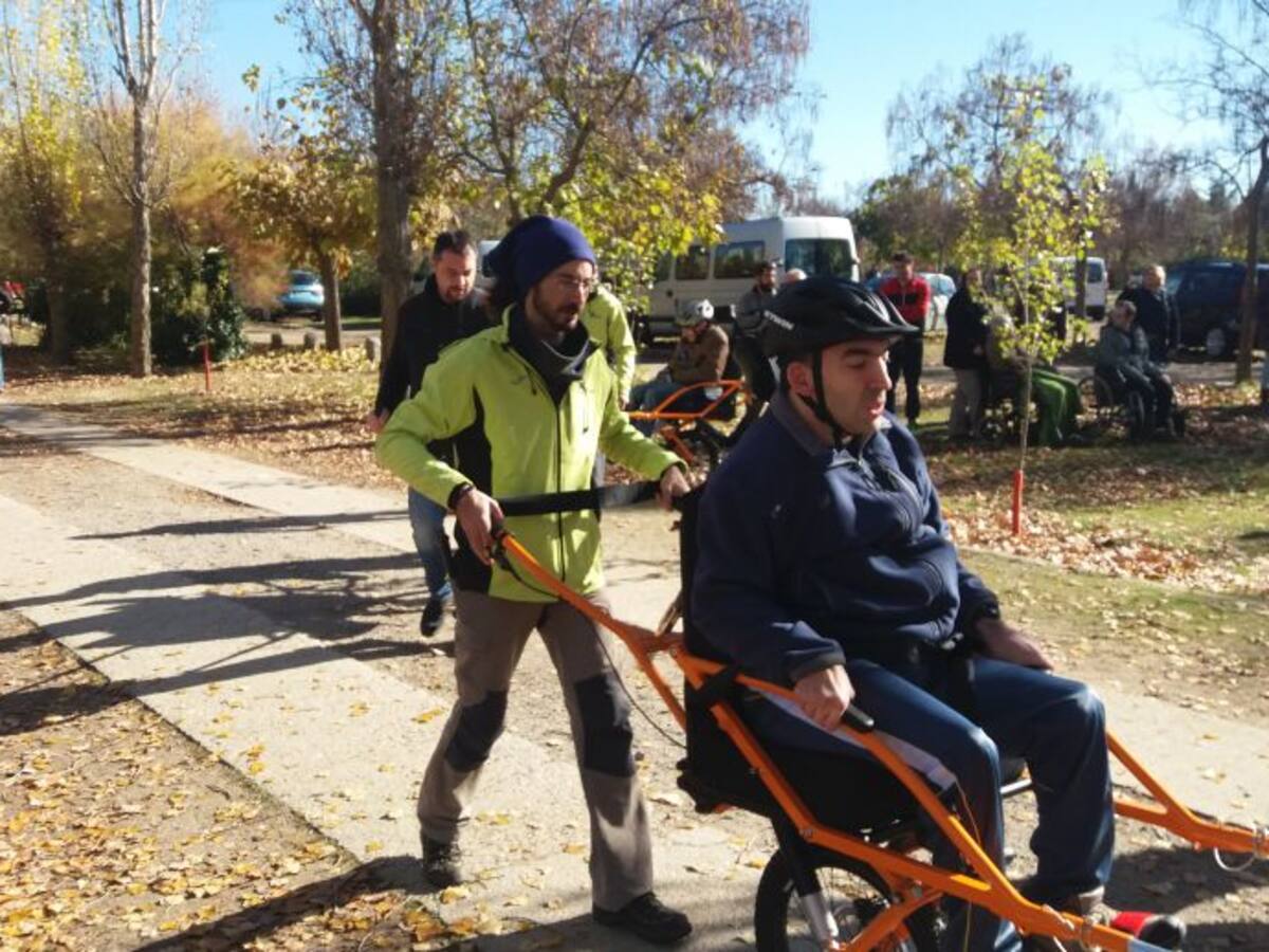 Sillas adaptadas que permiten disfrutar de la naturaleza