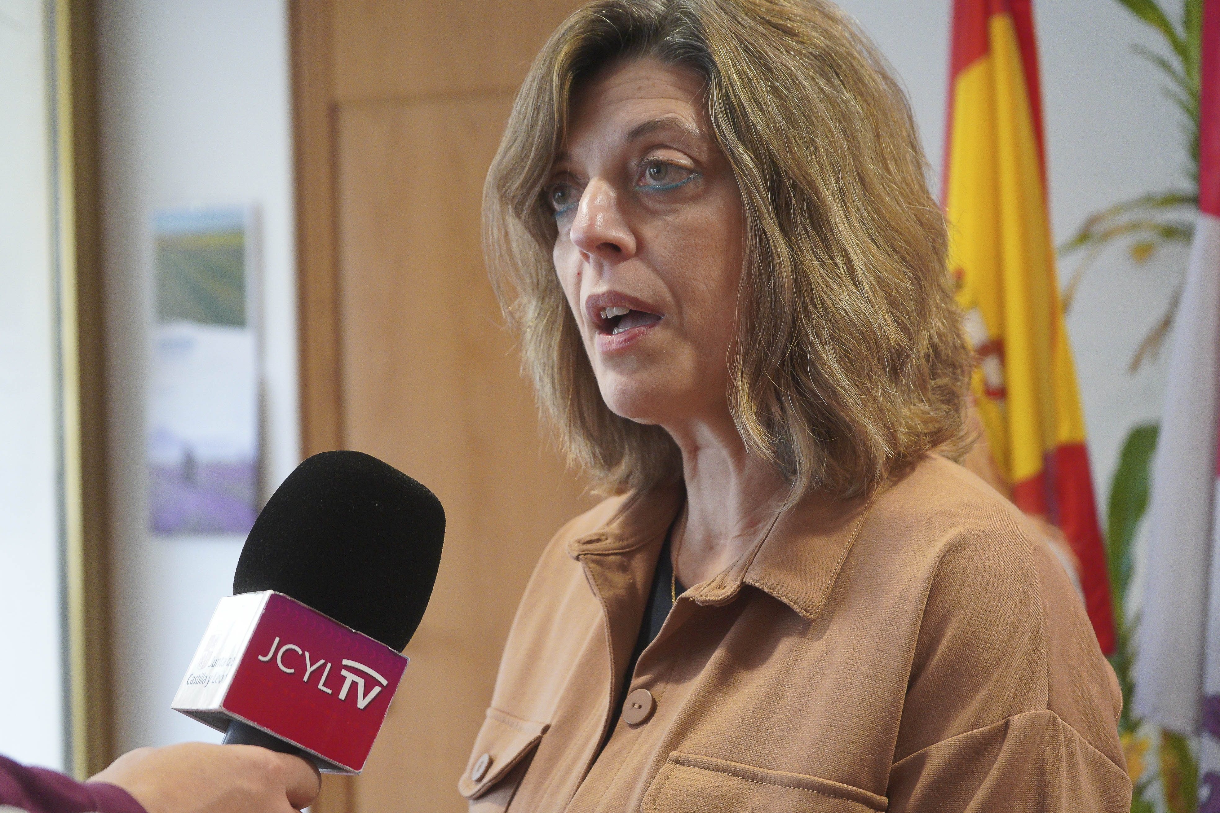 La directora general de la Mujer de la Junta de Castilla y León, Victoria Moreno.