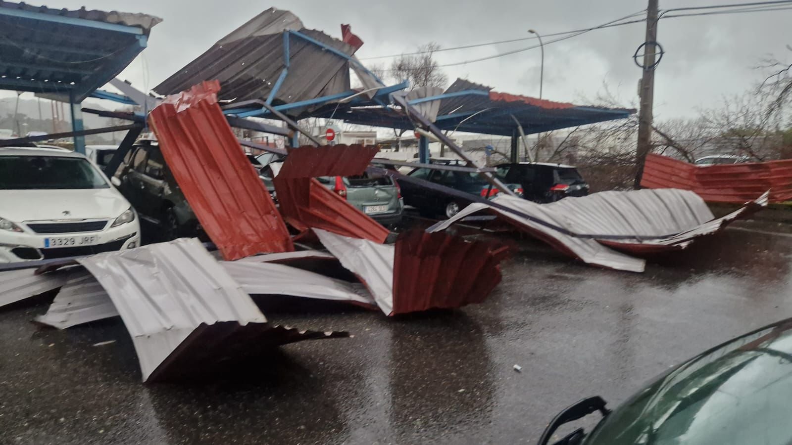 Efectos del temporal el pasado viernes en Plasencia