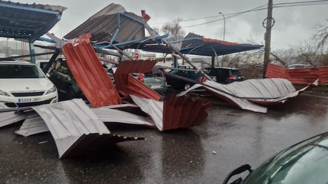 Efectos del temporal el pasado viernes en Plasencia