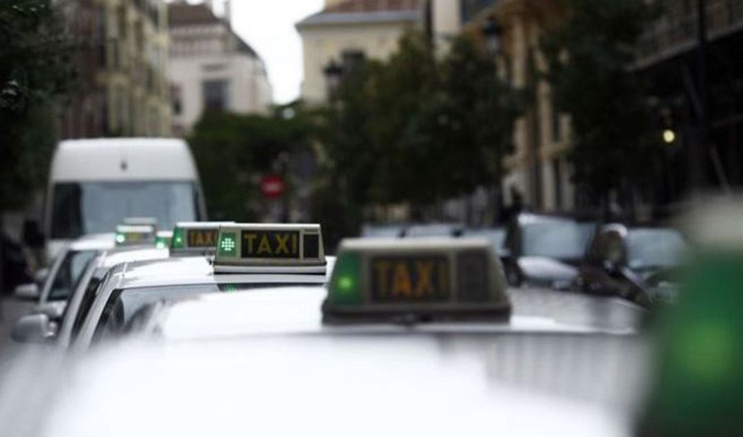 Los taxistas están a favor de poder pactar el precio de las carreras antes de comenzarlas, tal y como prevé aprobar el Consell