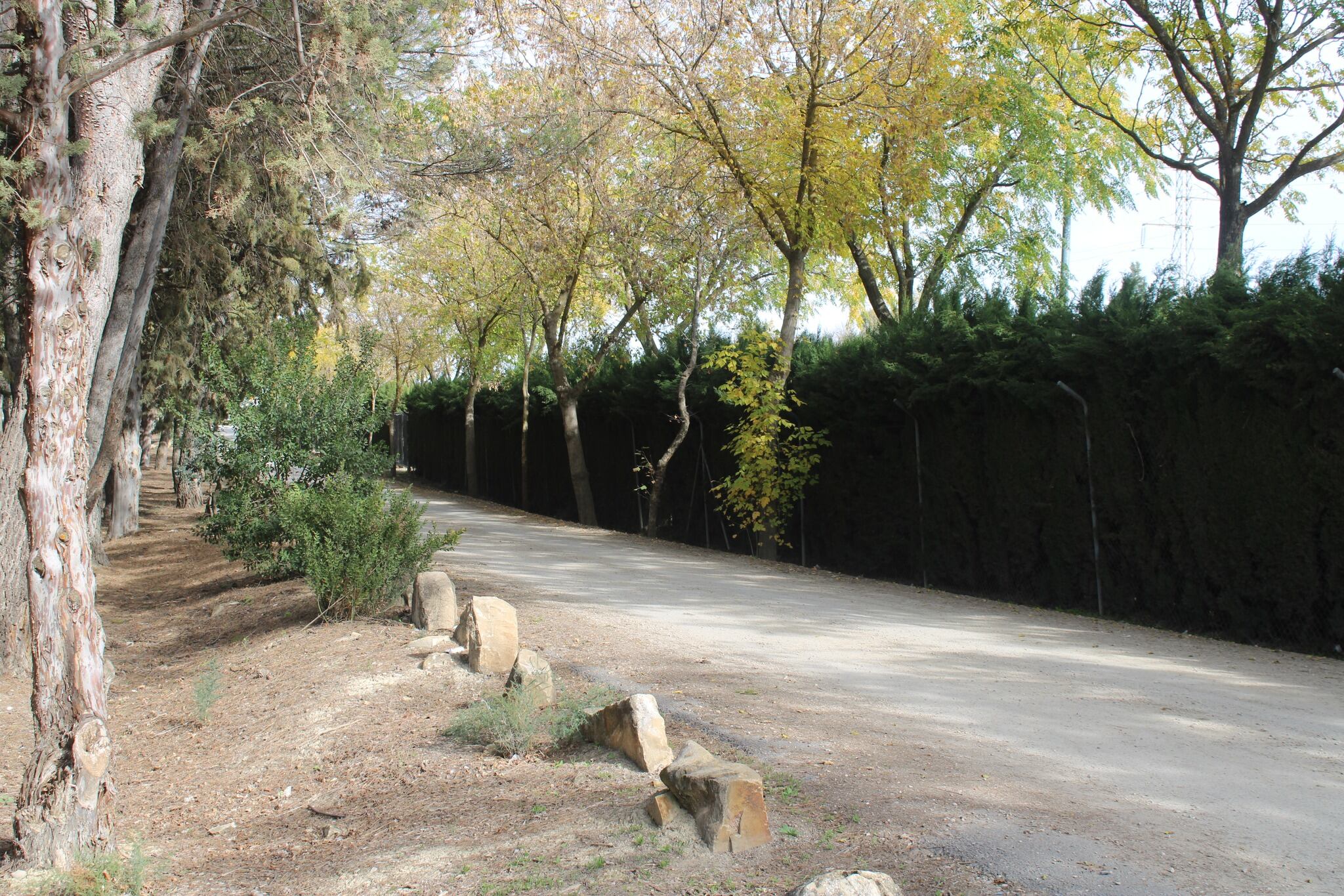 Camino de San Antonio de Úbeda