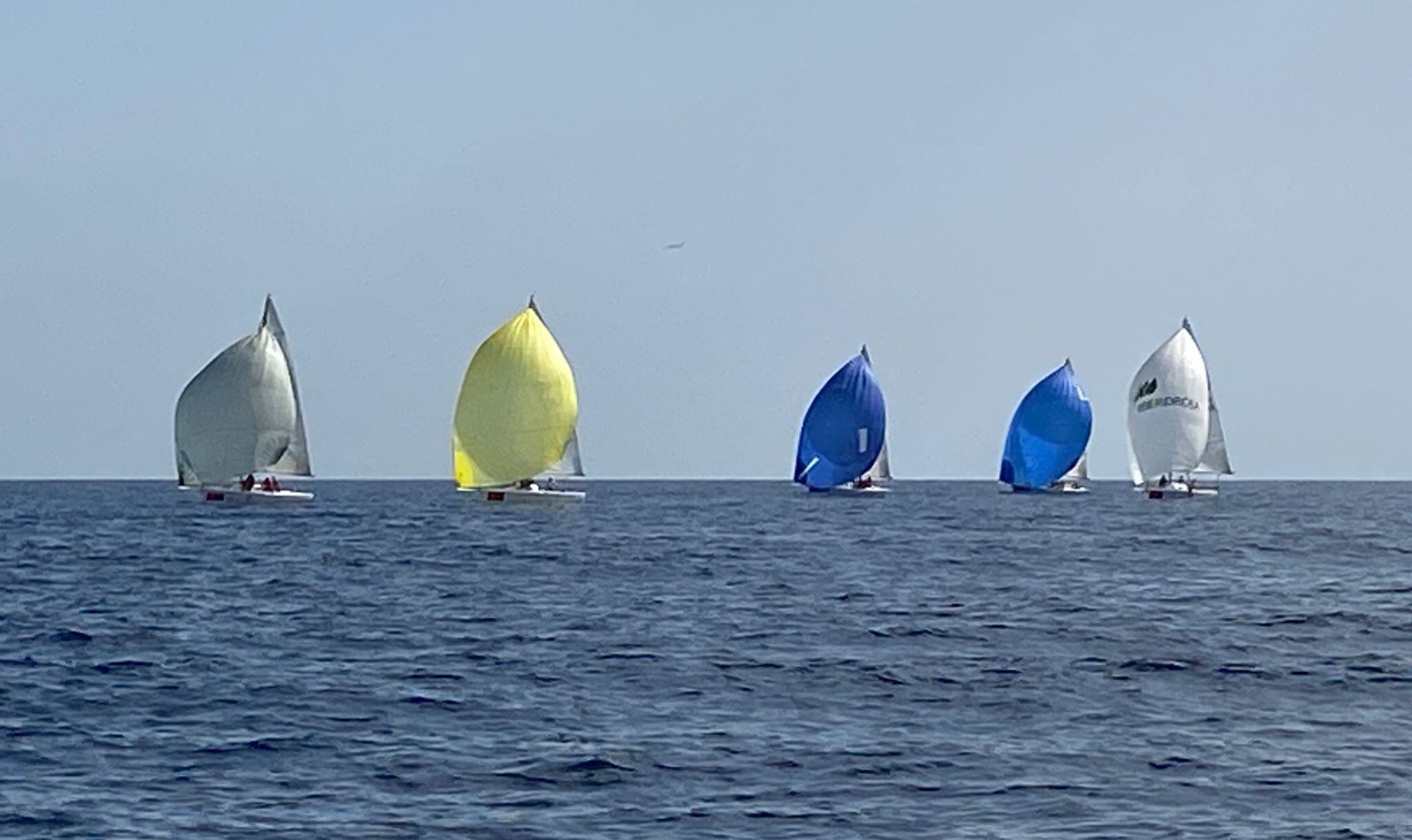 Participantes en la última regata, el Nutsalud con la vela amarilla.