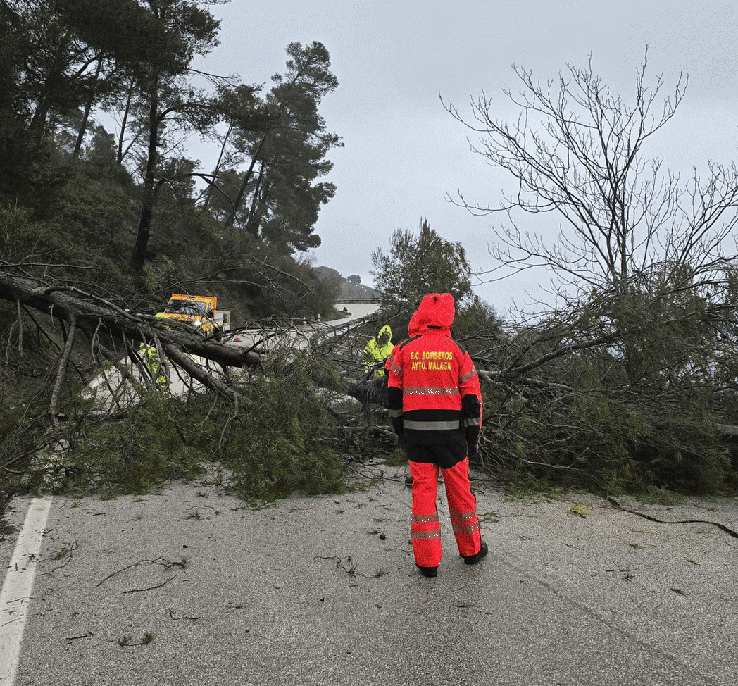 Incidencias en la provincia de Málaga por la borrasca Leonardo