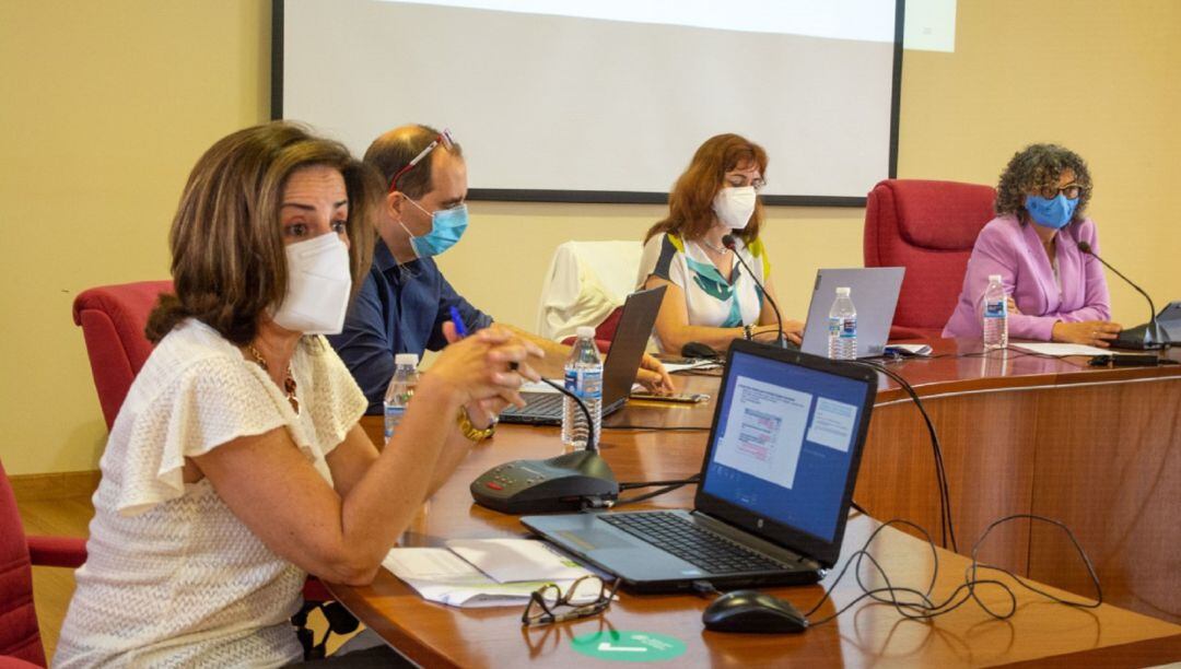 La vicerrectora de Investigación, Catalina Egea, explicando las convocatorias de ayudas