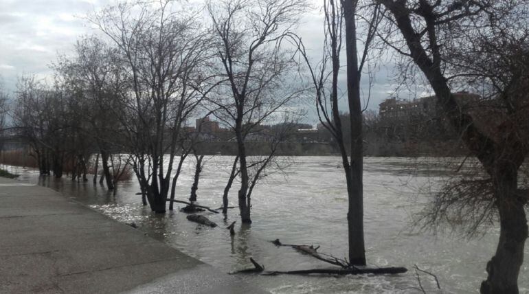 El río Ebro, a su paso por Zaragoza, esta semana 